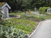 Analysis of Therapeutic Gardens for Children with Autism Spectrum